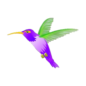 Violet Color Change Hummingbird